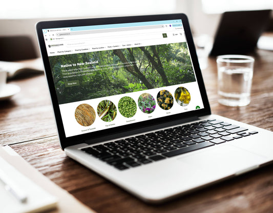 Website Design Package