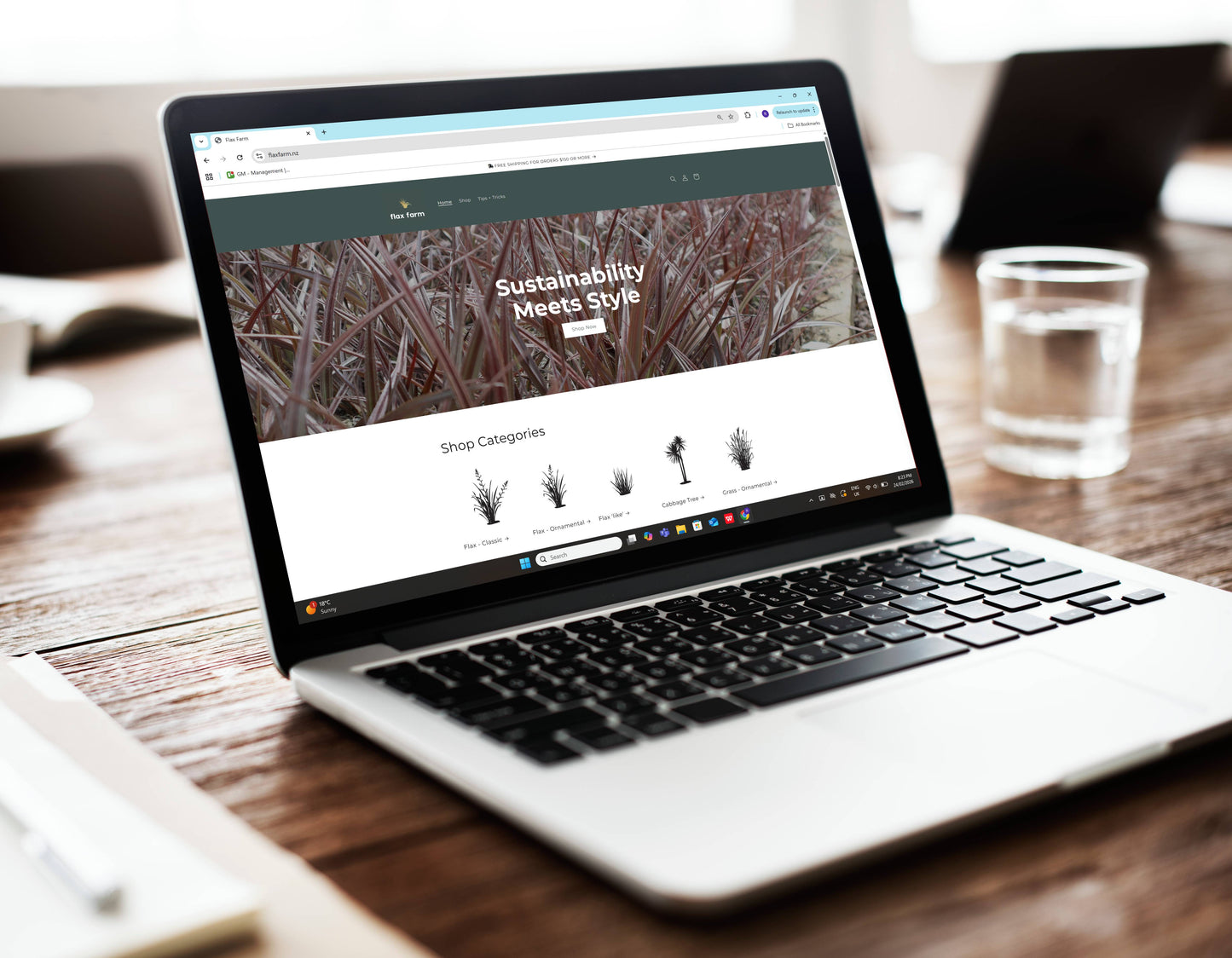 Website Design Package